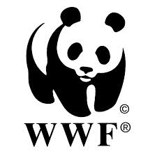The World Wild Life Foundation Logo